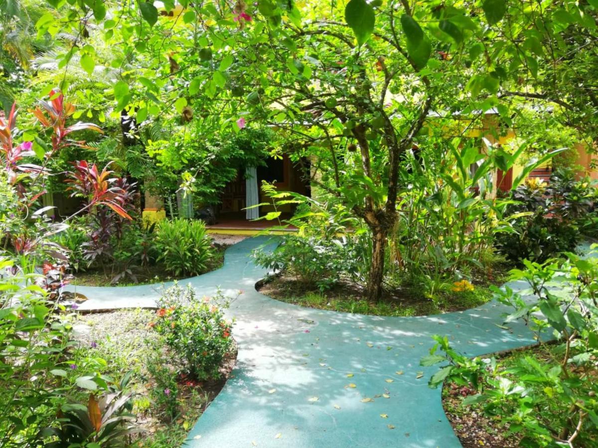 Villas Verdes Sámara Εξωτερικό φωτογραφία